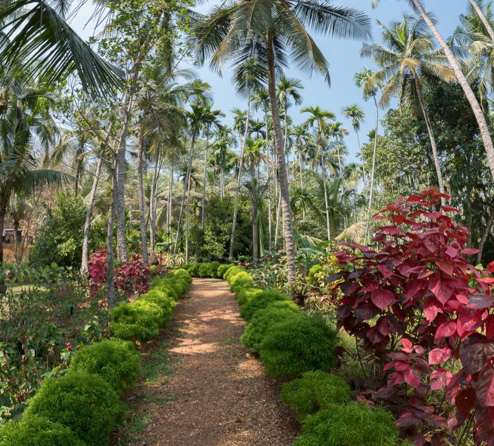 Kahani Paradise Gokarna  Exterior foto